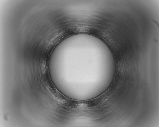 X0000101230741200807071412