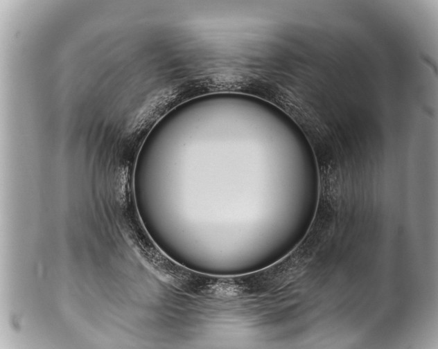 X0000101230742200807071412