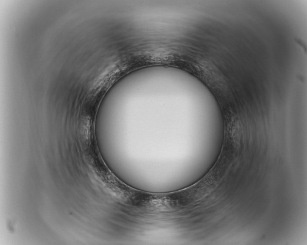 X0000101230744200807071412