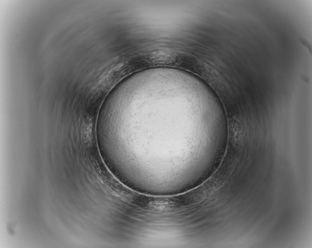 X0000101230745200807071412