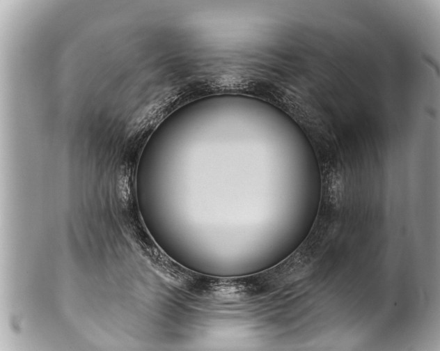 X0000101230746200807071412