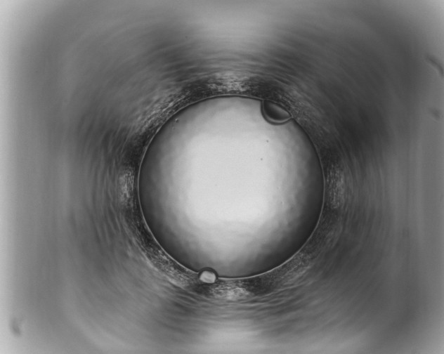 X0000101230747200807071412