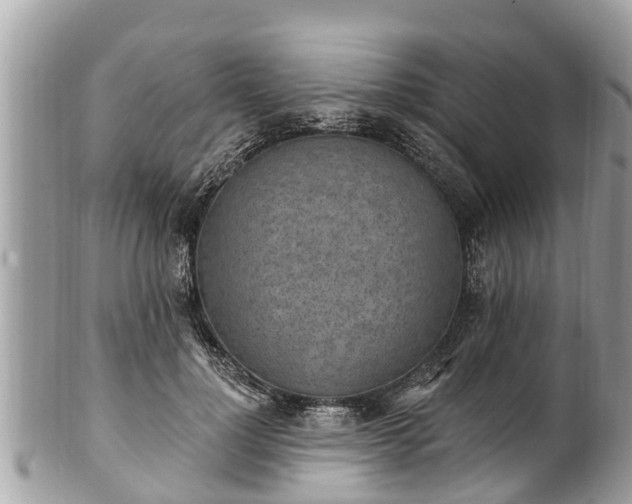 X0000101230748200807071412