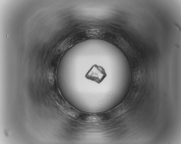 X0000101230749200807071412