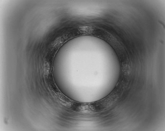 X0000101230752200807071412