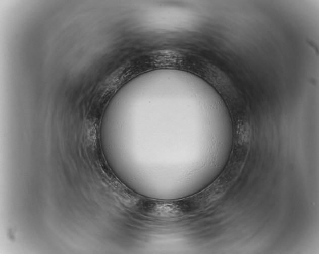 X0000101230753200807071412