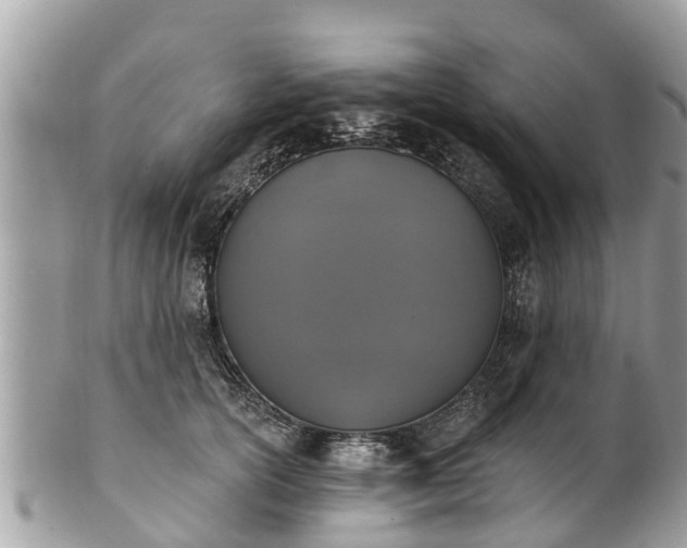 X0000101230754200807071412