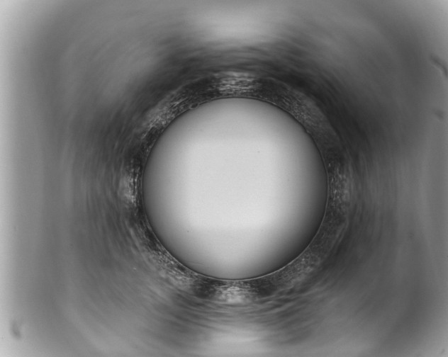 X0000101230755200807071412