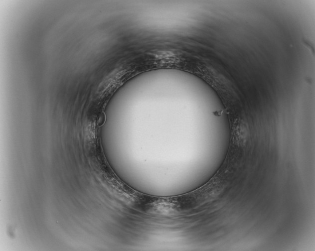 X0000101230756200807071412