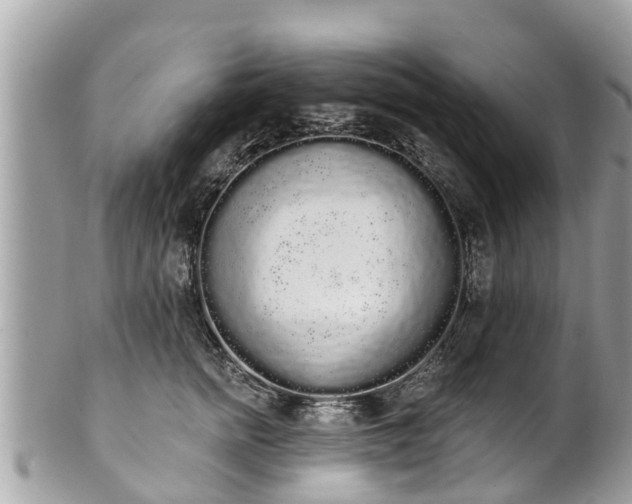 X0000101230758200807071412