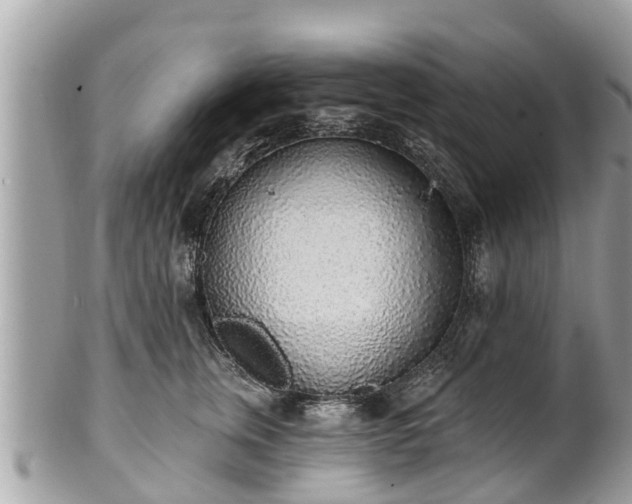 X0000101230759200807071412