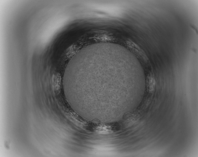 X0000101230760200807071412