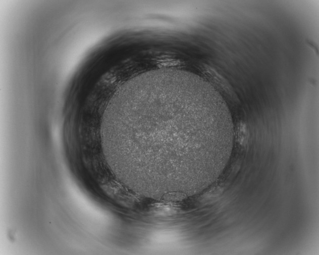 X0000101230763200807071412