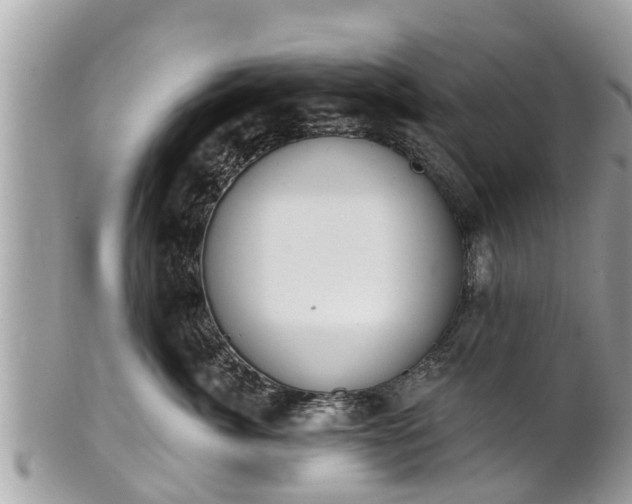 X0000101230764200807071412