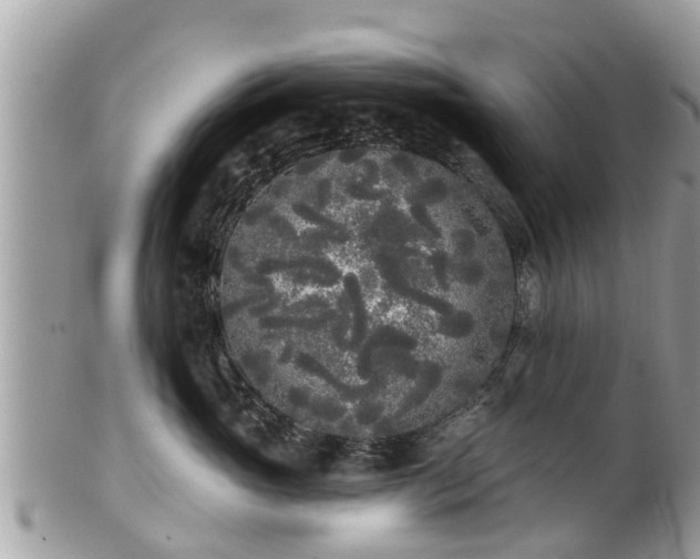 X0000101230765200807071412