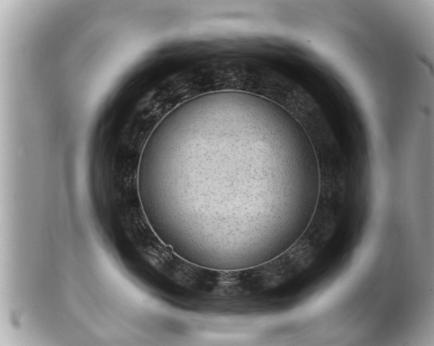 X0000101230766200807071412