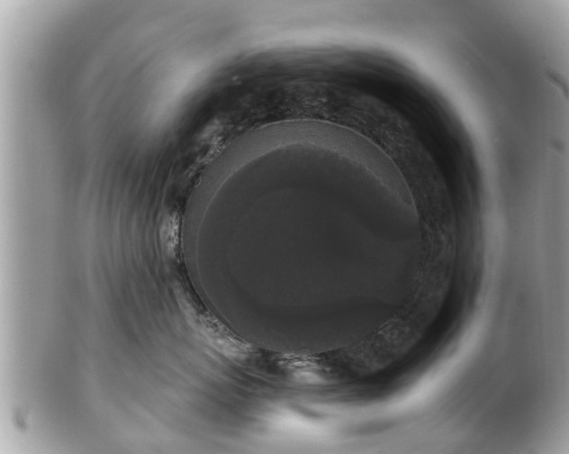 X0000101230767200807071412