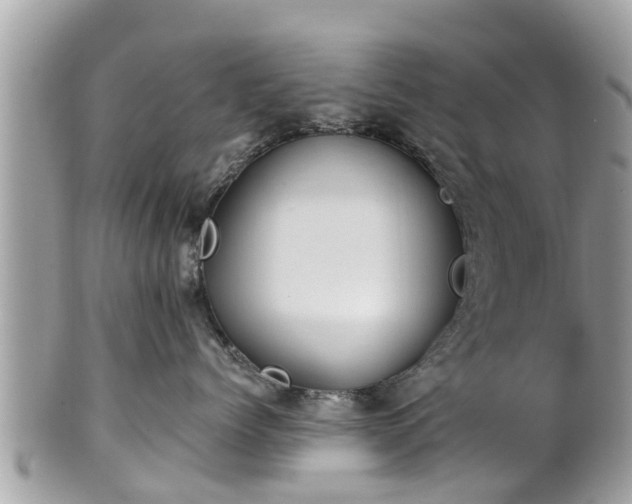 X0000101230768200807071412