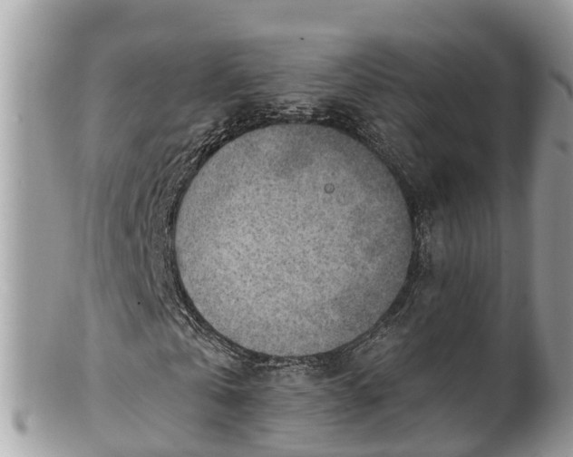 X0000101230769200807071411