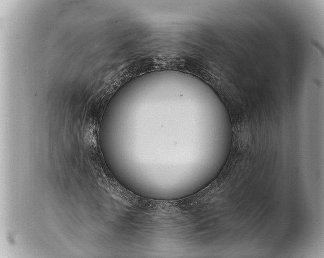 X0000101230770200807071411