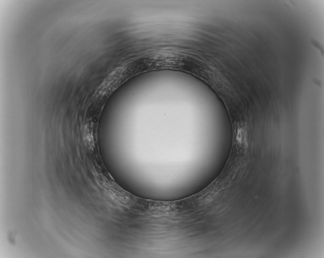 X0000101230771200807071411