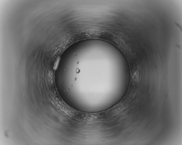 X0000101230772200807071411