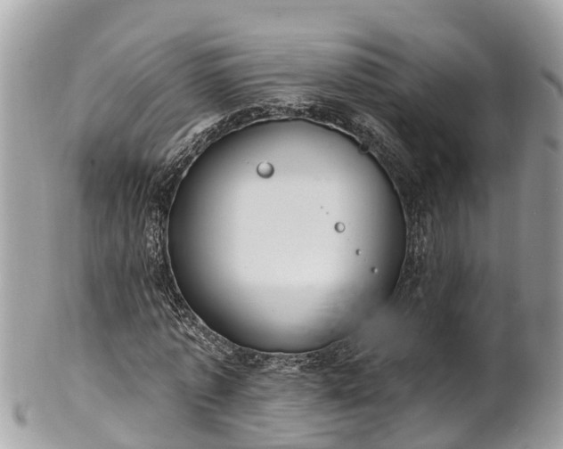 X0000101230773200807071411