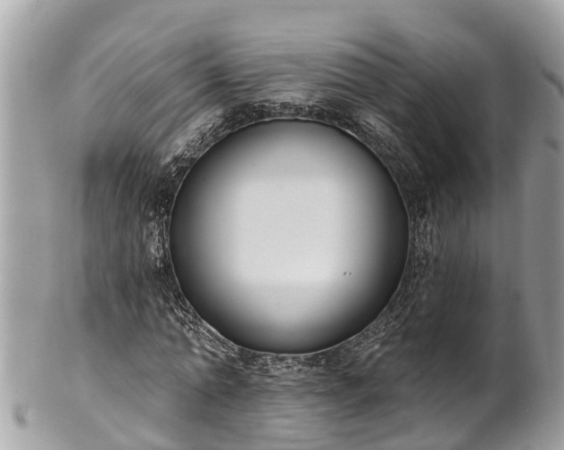 X0000101230774200807071411