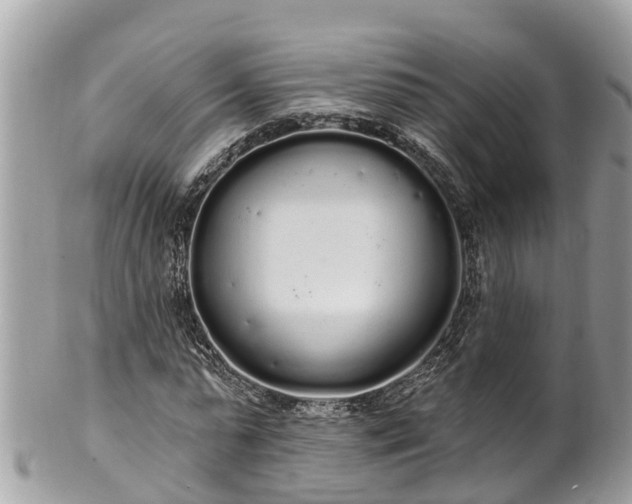 X0000101230775200807071411