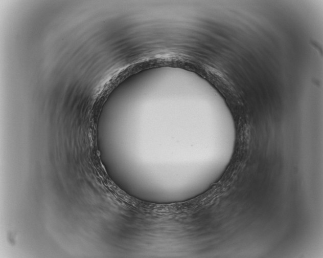 X0000101230776200807071411