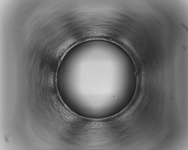 X0000101230777200807071411