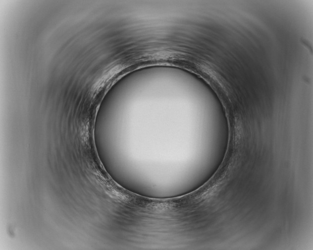 X0000101230778200807071411