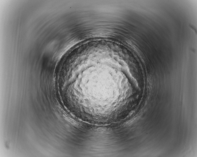 X0000101230779200807071411