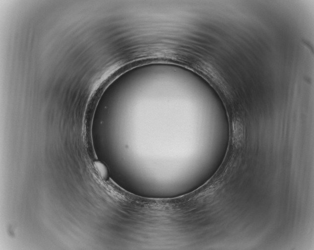 X0000101230780200807071411