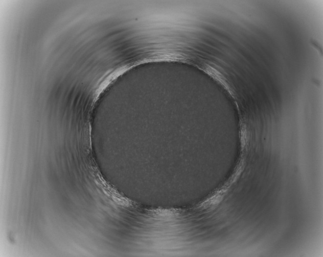 X0000101230781200807071411