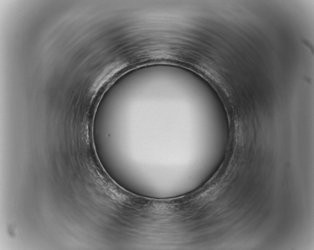 X0000101230782200807071411