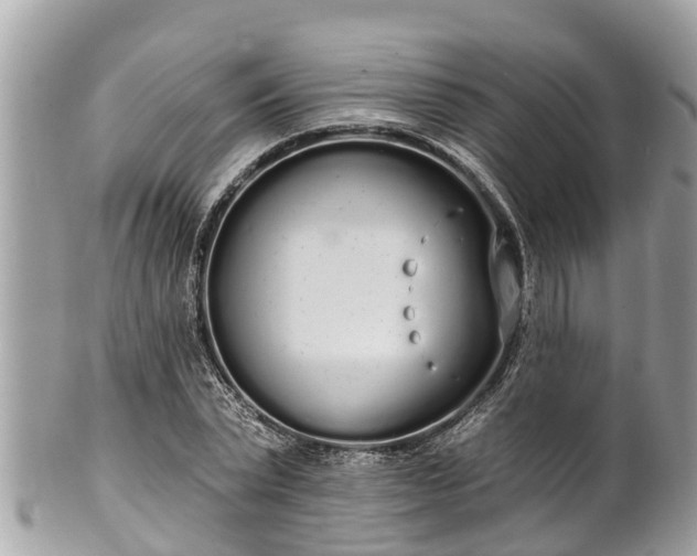 X0000101230783200807071411