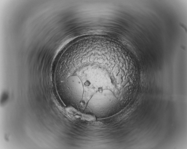 X0000101230784200807071411