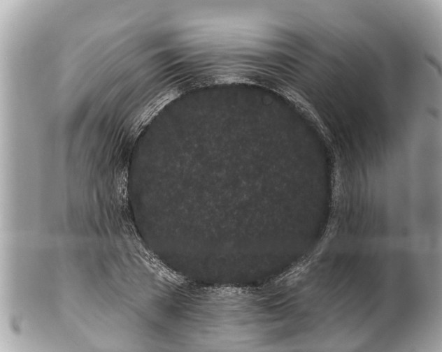 X0000101230785200807071411