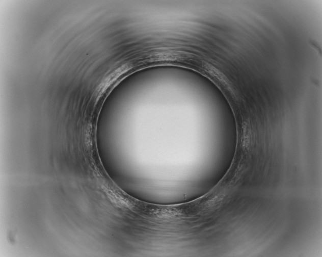 X0000101230786200807071411