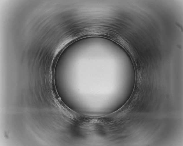 X0000101230787200807071411