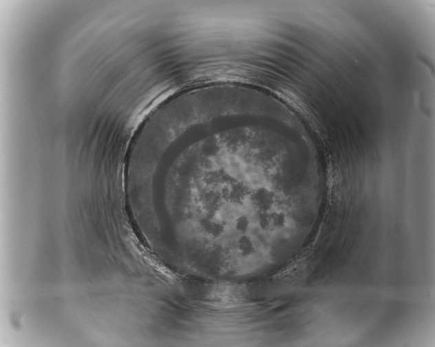 X0000101230790200807071411