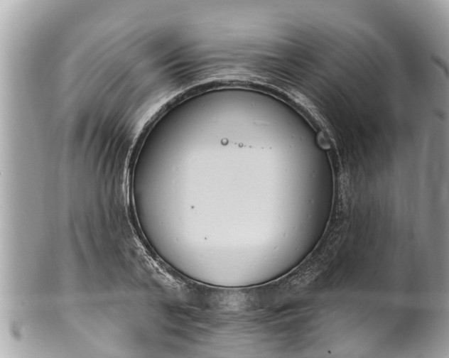 X0000101230791200807071411