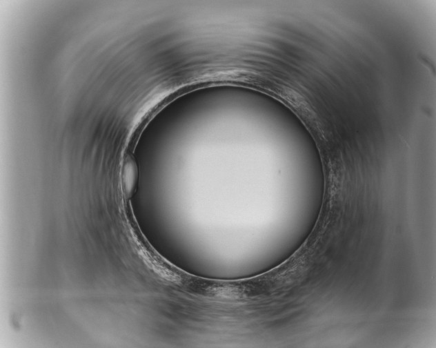 X0000101230792200807071411