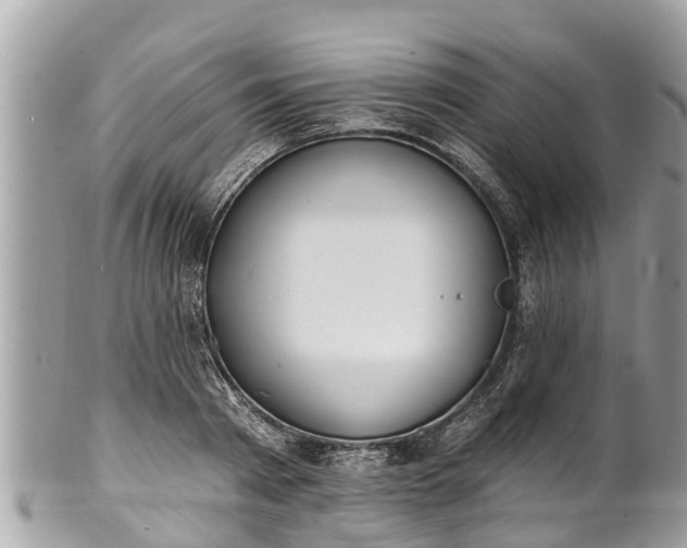 X0000101230793200807071411