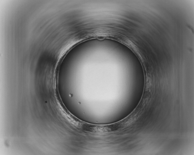 X0000101230795200807071411