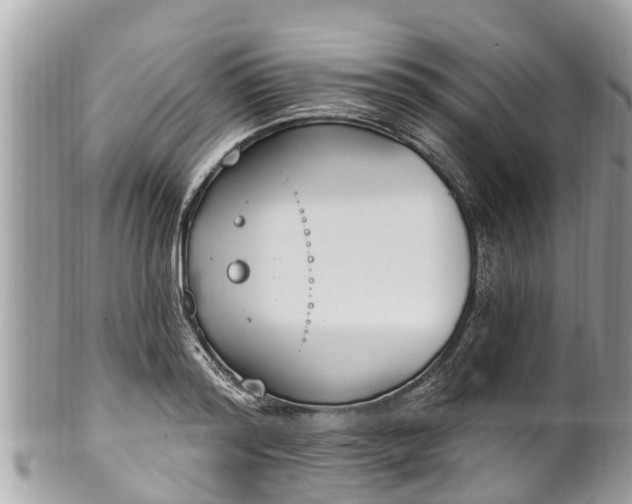 X0000101230796200807071411