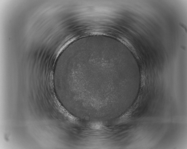 X0000101230798200807071411