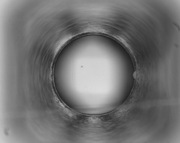 X0000101230799200807071411