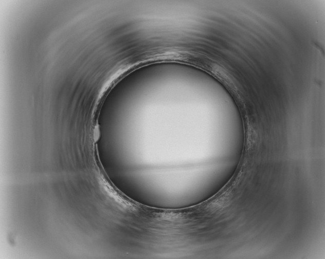 X0000101230800200807071411